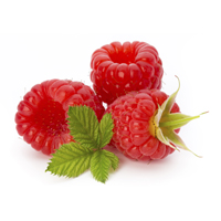 Mléčná čokoláda