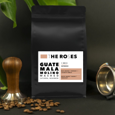 Guatemala Molino Washed Caturra, Bourbon - Espresso