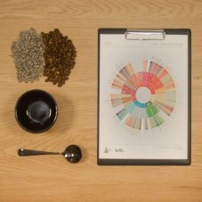 Úvod do výběrové kávy