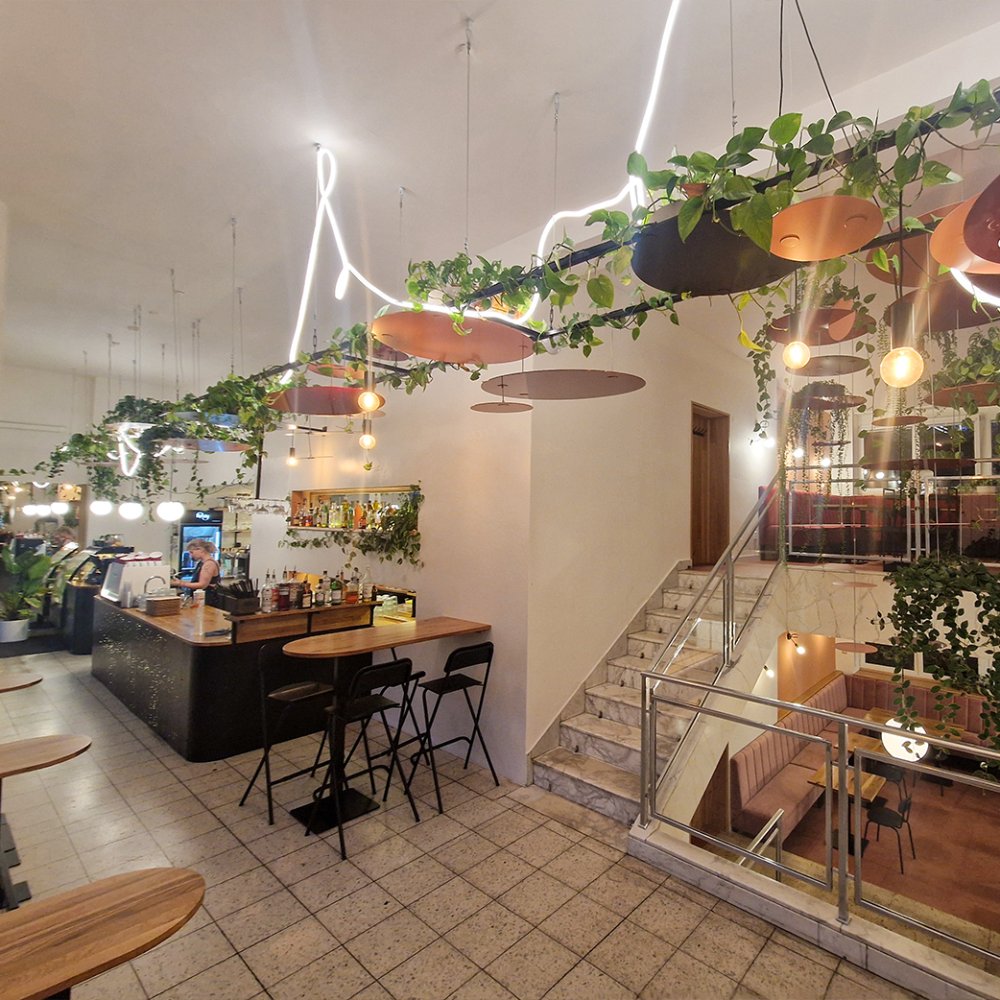 The Roses Kounicova – foto 1