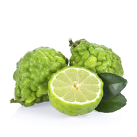Bergamot