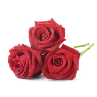 Mléčná čokoláda